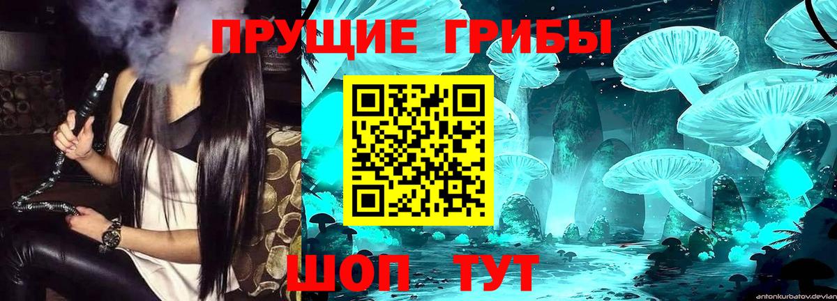 Нижний Тагил  Галлюциногенные грибы Psilocybe  Вход с VPN  где найти наркотики  Галлюциногенные грибы Magic Shrooms 